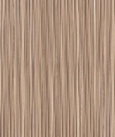 JOTTS_ALBERO_400x476