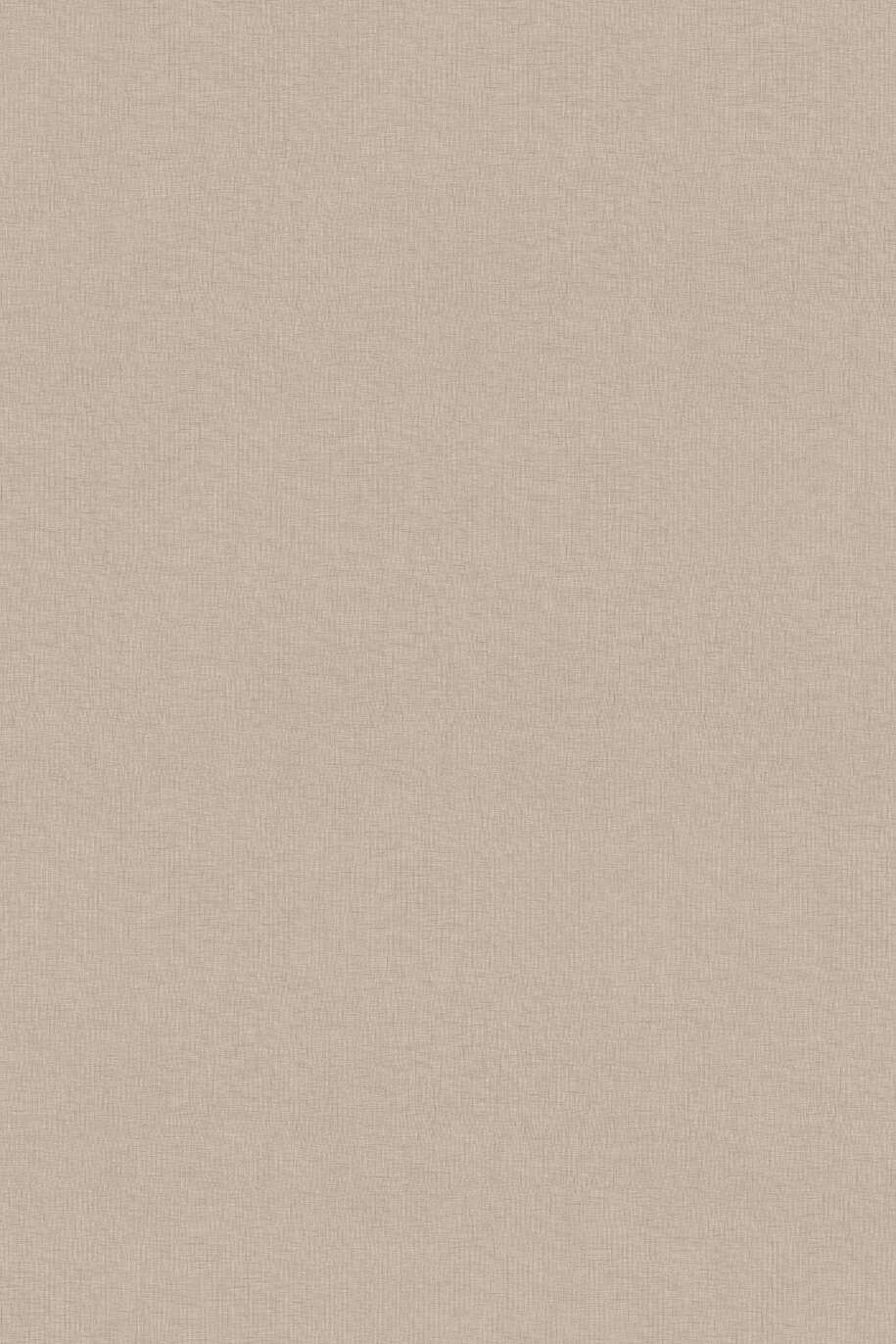 5437_915x0_fit_478b24840a